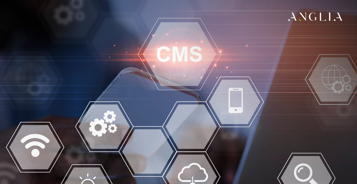 定制CMS對電子商務網站的好處 定制CMS對電子商務網站的好處